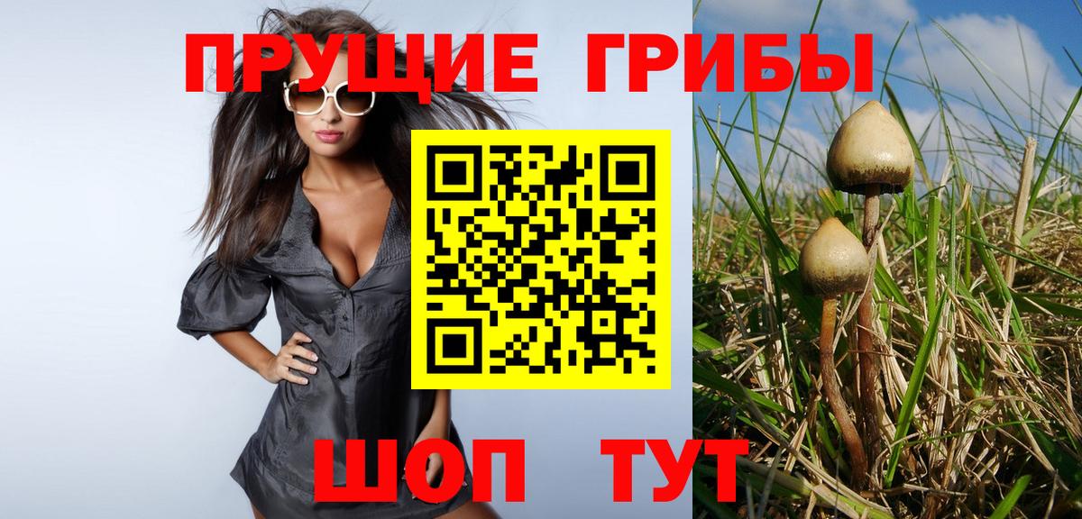 Псилоцибиновые грибы Psilocybe Анапа