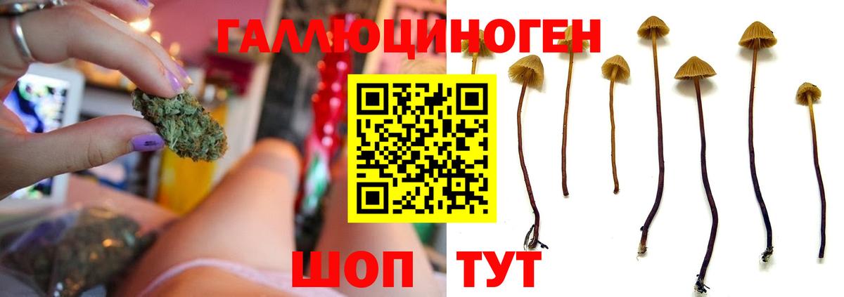 Галлюциногенные грибы MAGIC MUSHROOMS  Вход с VPN  купить   Анапа  Галлюциногенные грибы мицелий 